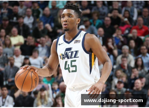 NBA球员伤病分析及其对球队影响探讨